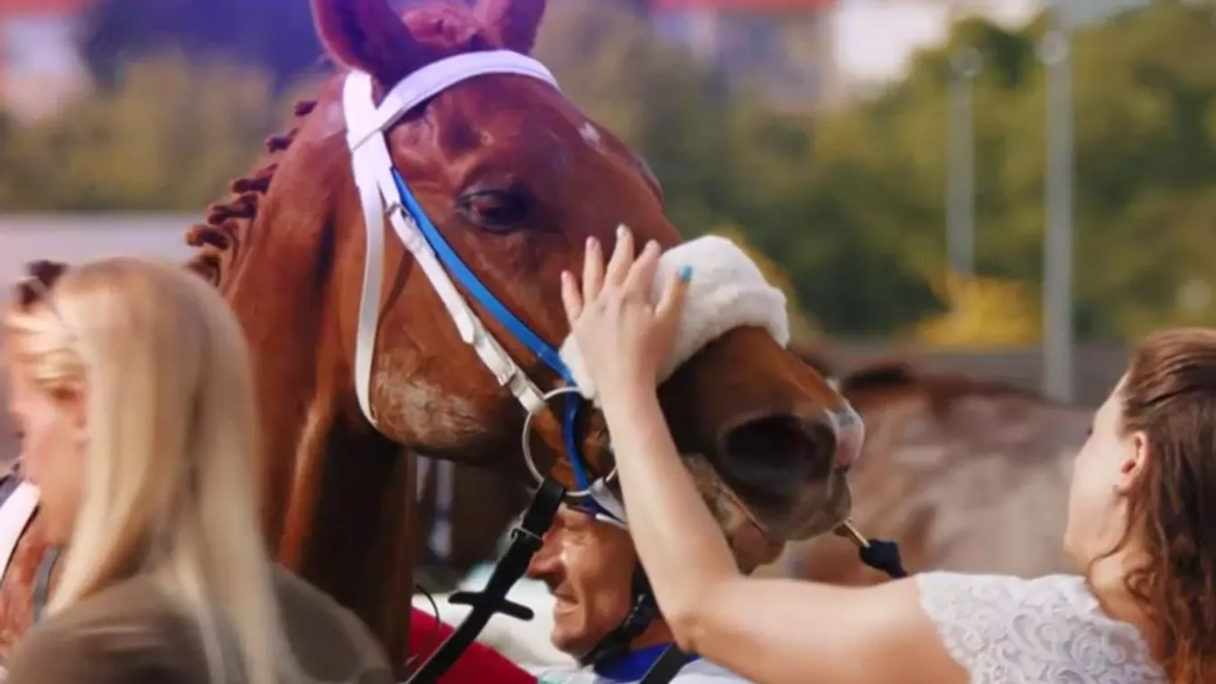 Napindító - Food Truck Show és tavaszi lóverseny a Kincsem Parkban