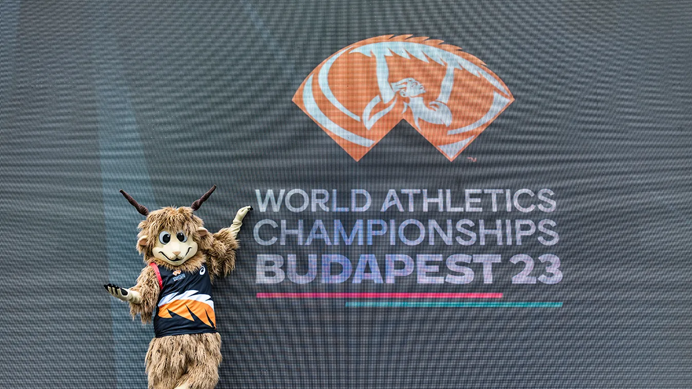 Jótékony célra ajánlják fel az atlétikai világbajnokságon megmaradt ásványvizet és dekorációkat a szervezők