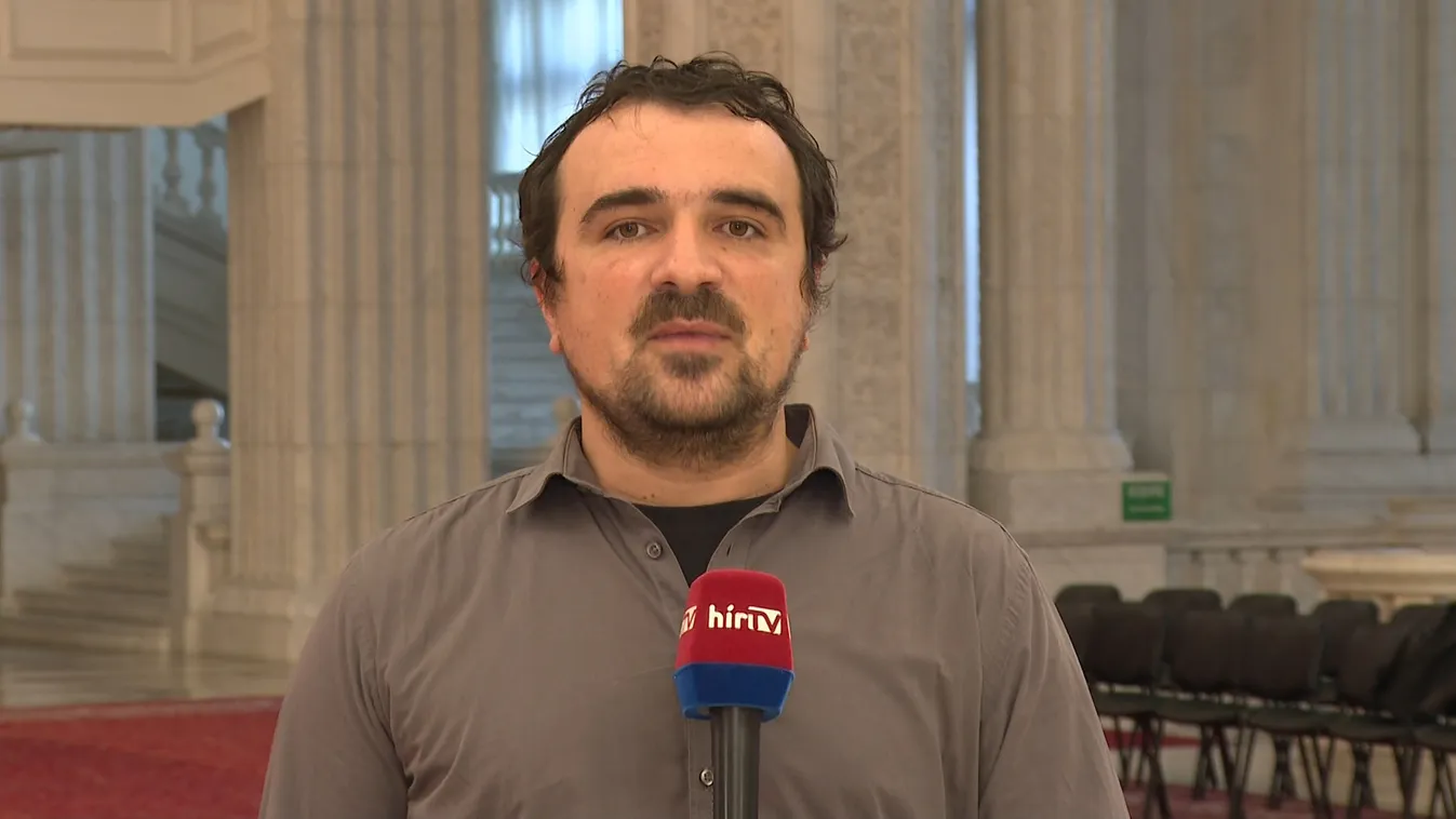 Kétszáz kilós medvét gázoltak halálra Erdélyben