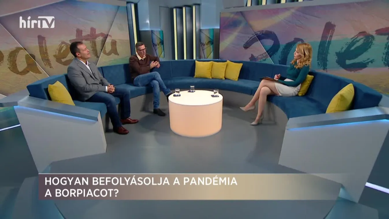 Paletta: Hogyan befolyásolja a pandémia a borpiacot?