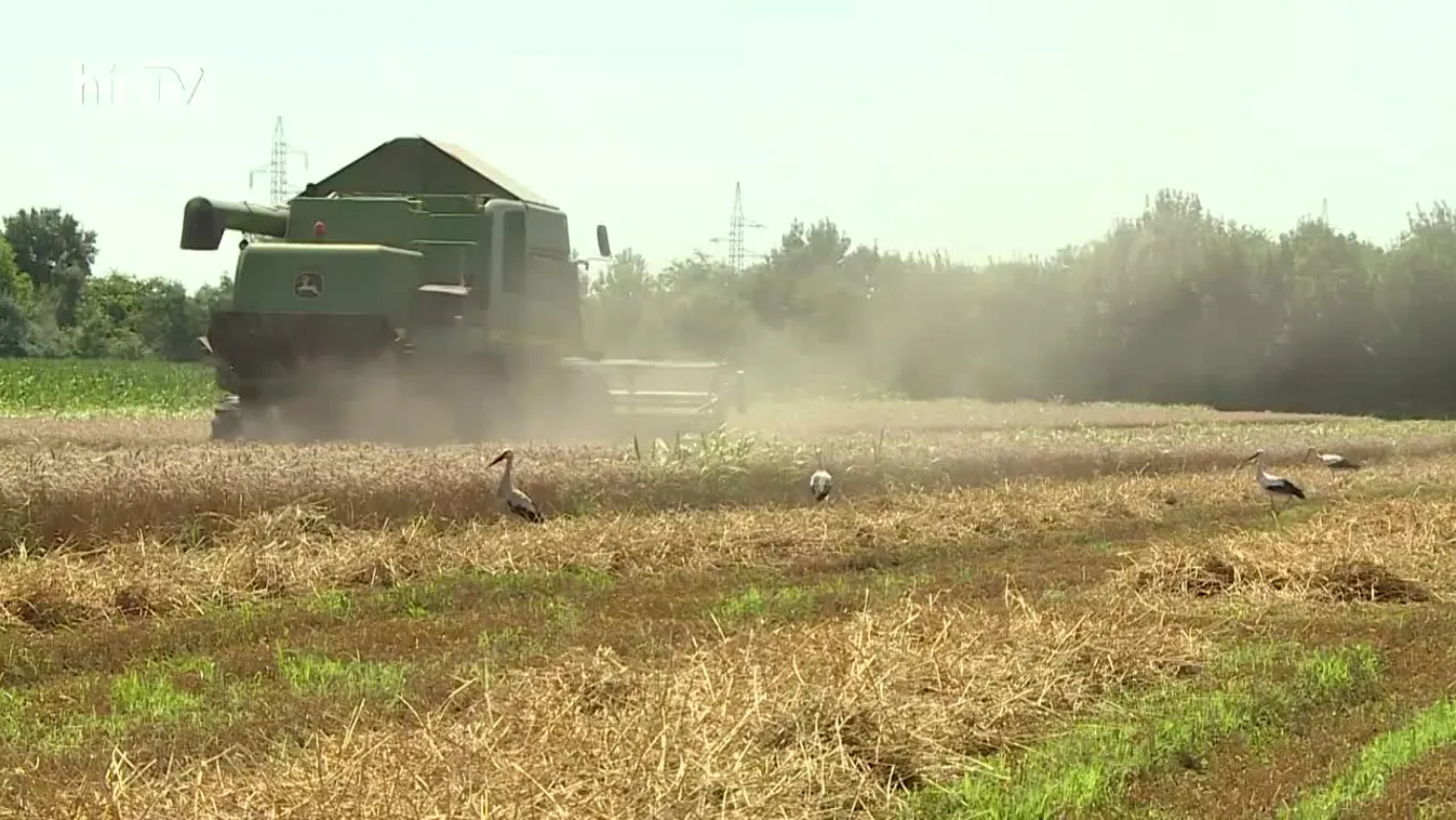 Soroló: Földet vegyenek!