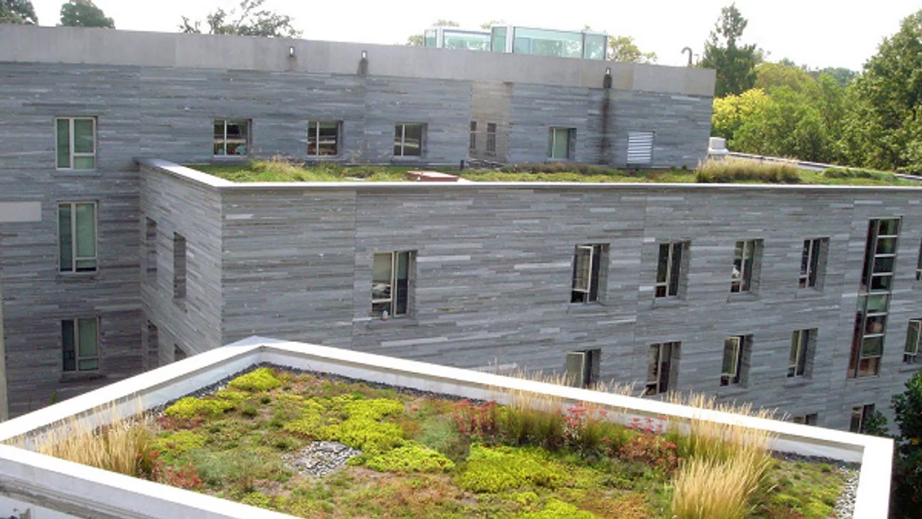 Zöldtetők – Ingatlanpiac