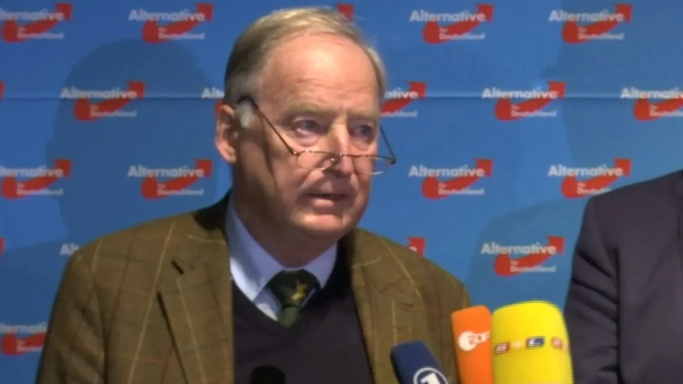 A nacionalista szárnyból választott társelnököt az AfD