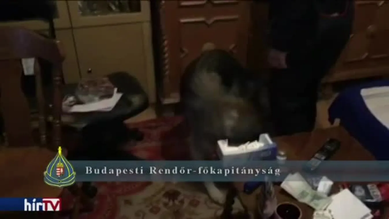 Drogkereső kutya buktatta le a dílert