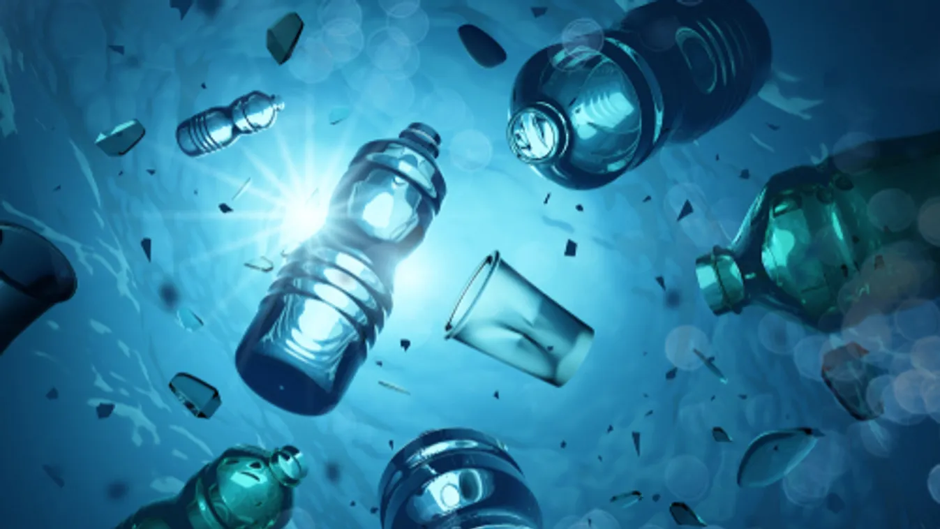 Műanyagot lebontó tengeri gombát találtak kínai tudósok