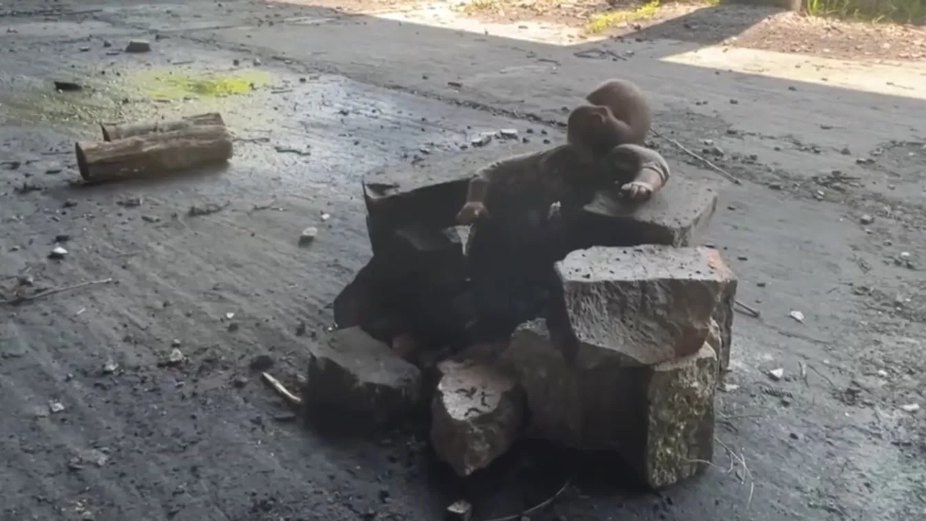 Jámbor Andrást felelősség terheli