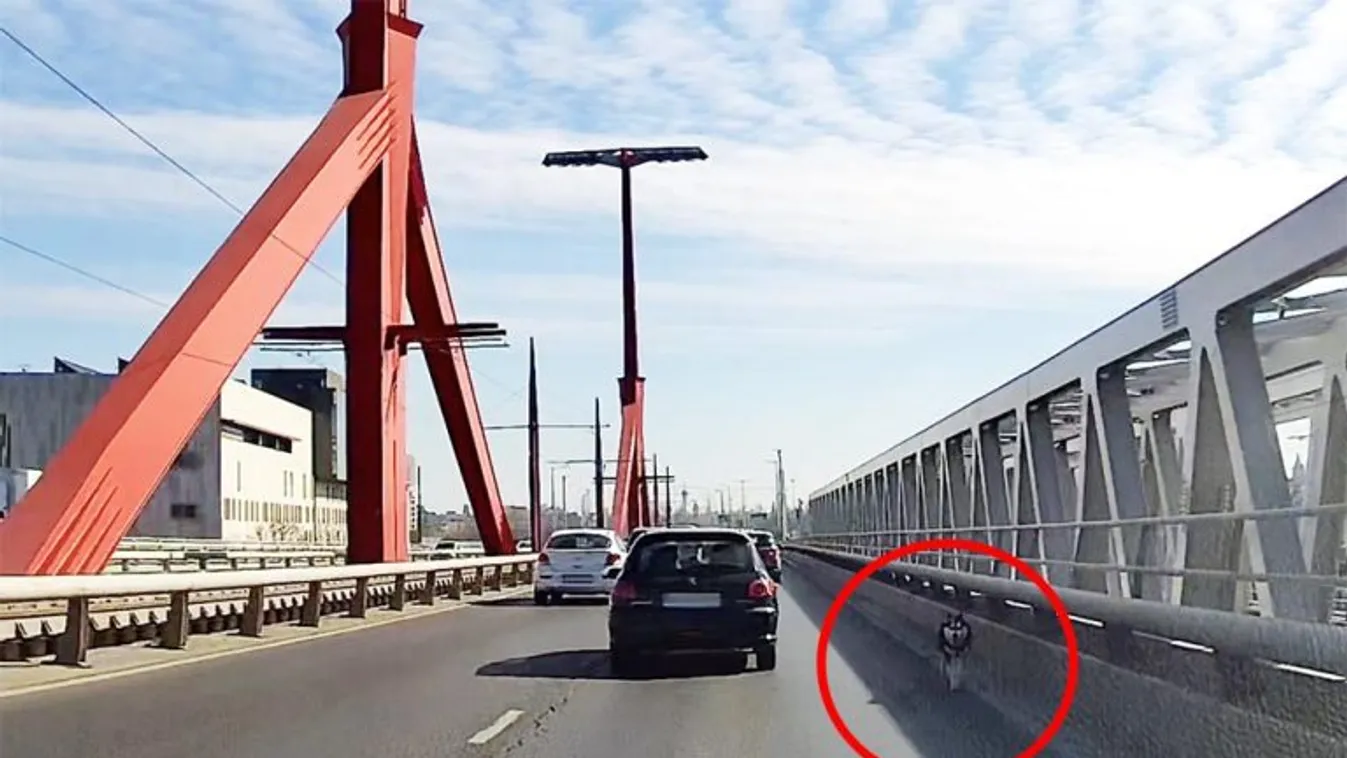 Ez az, amire legkevésbé sem számítasz a Rákóczi hídon