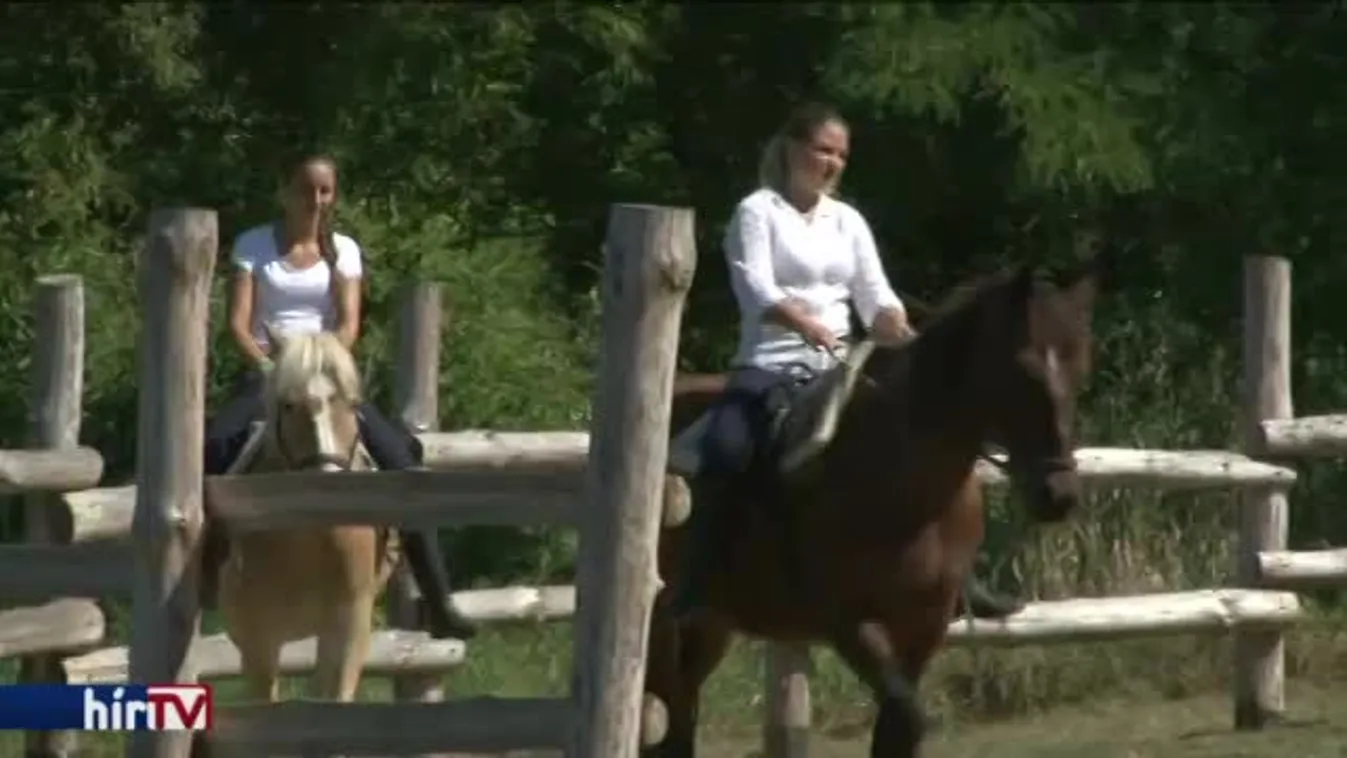 A lovasturizmus fellegvárává tennék Kelet-Magyarországot