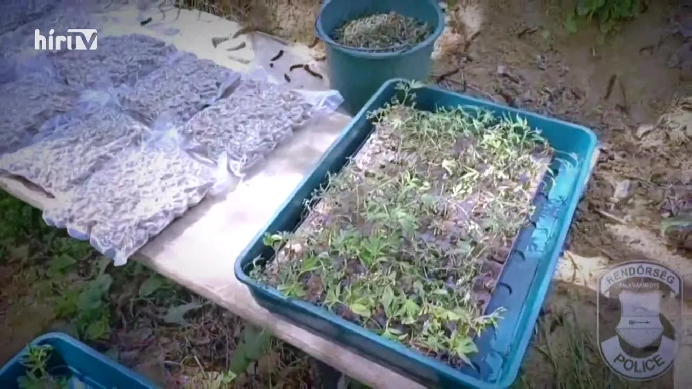 Riasztás - Vége a több száz milliós drogbiznisznek + videó