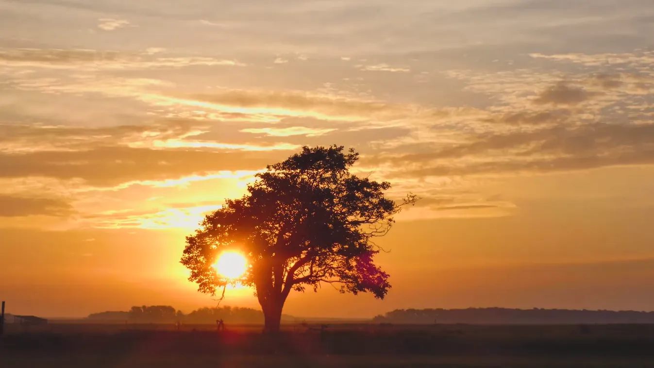 Radar - Minden ami magyar - Kulturális Filmek Fesztiválja