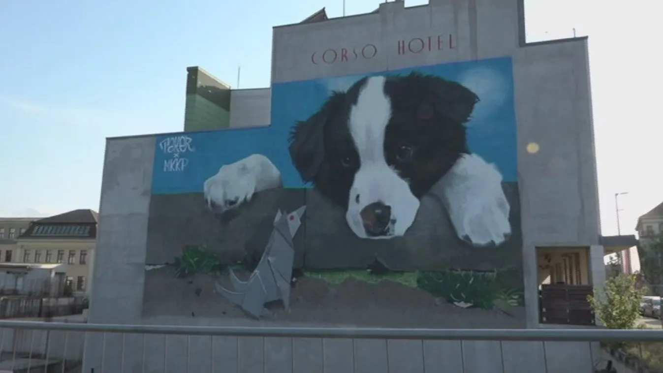 Graffitit avatott fel a Kétfarkú Kutya Párt