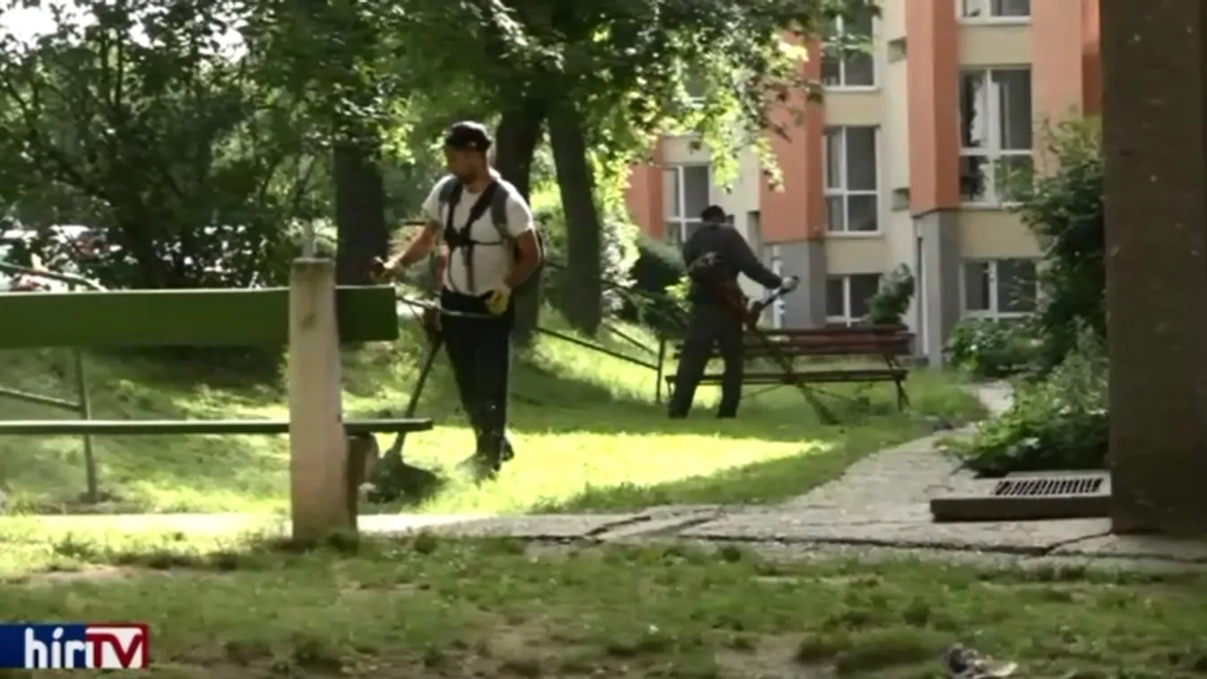 „Kaszálni kell és ezért a pénzért nem akarnak dolgozni”