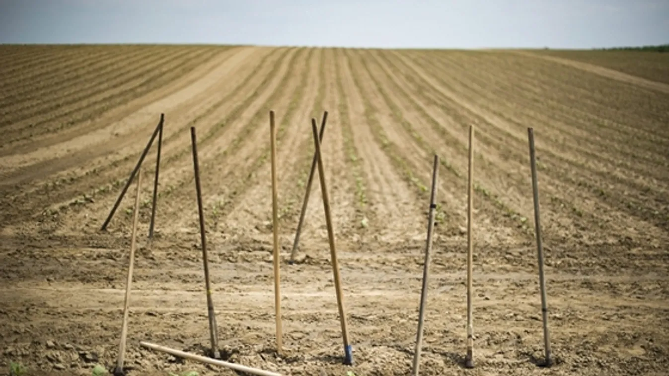 Októberben indulhat az állami földek eladása