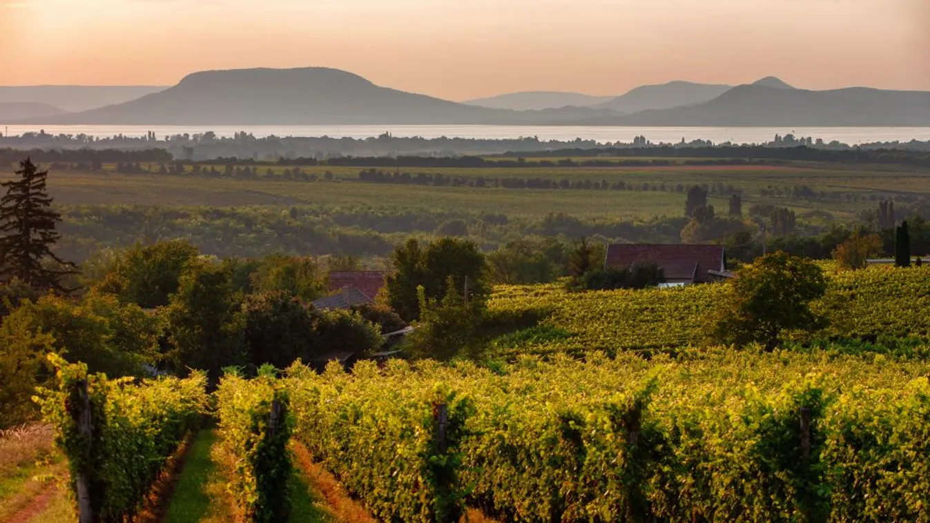 A Kárpát-medence turisztikai érdekességét bemutató weboldal indult