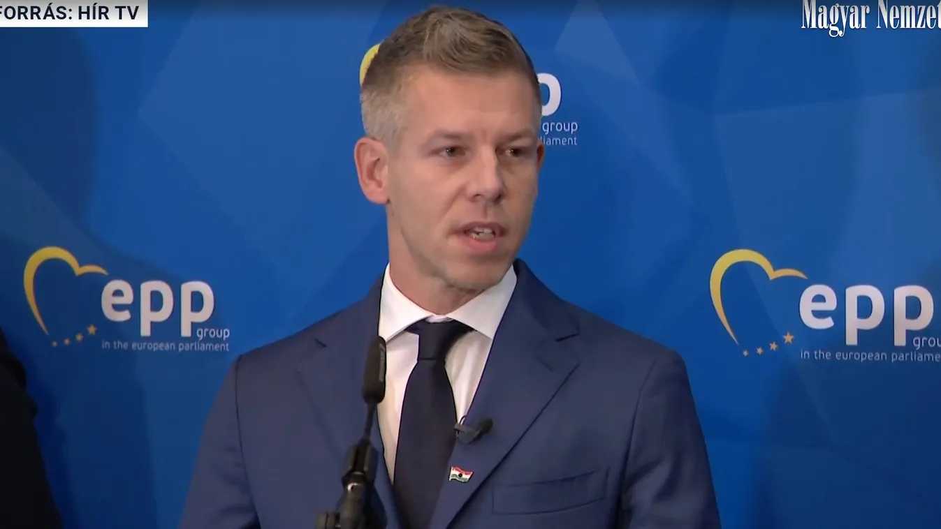 Magyar Péter elismerte, hogy testvére a PlanB-től kapott pénzt + videó