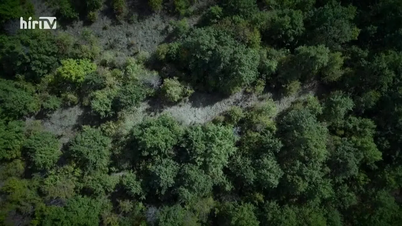 Riasztás – Kaszás Nikolett halála – a rejtély nyomában járt stábunk