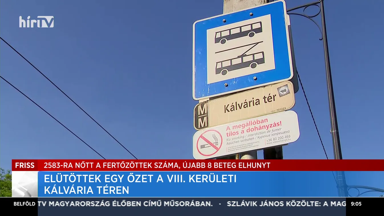 Elütöttek egy őzet VIII. kerületi Kálvária téren