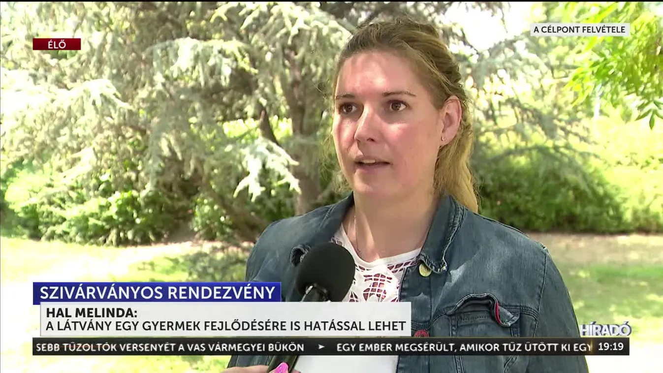 A főpolgármester nemcsak Bécsben, hanem közösségi oldalán is a budapesti szivárványos parádéra invitál + videó