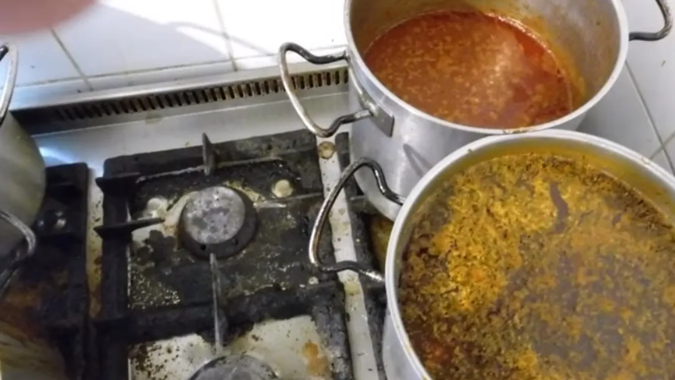 Megdöbbentő higiéniai hiányosságokat tárt fel a Nébih egy II. kerületi étteremben + videó