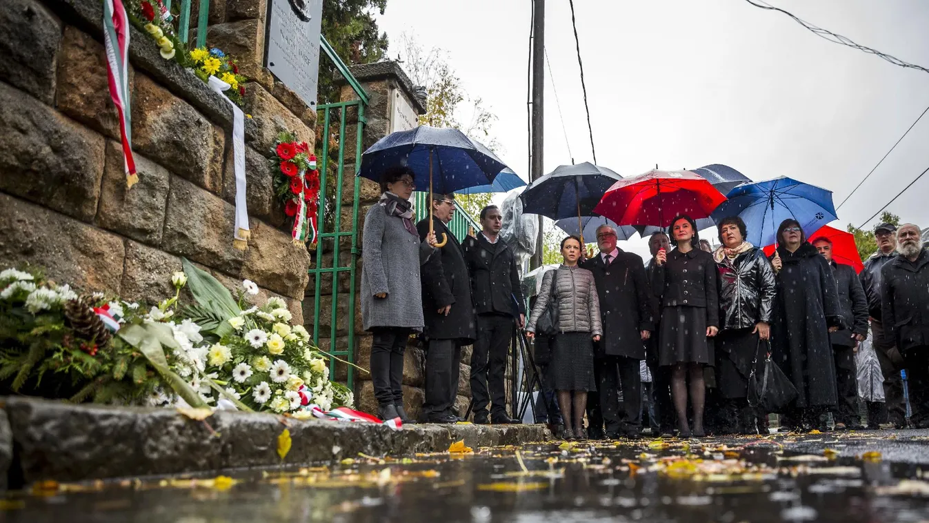 Esőnap – Newsroom