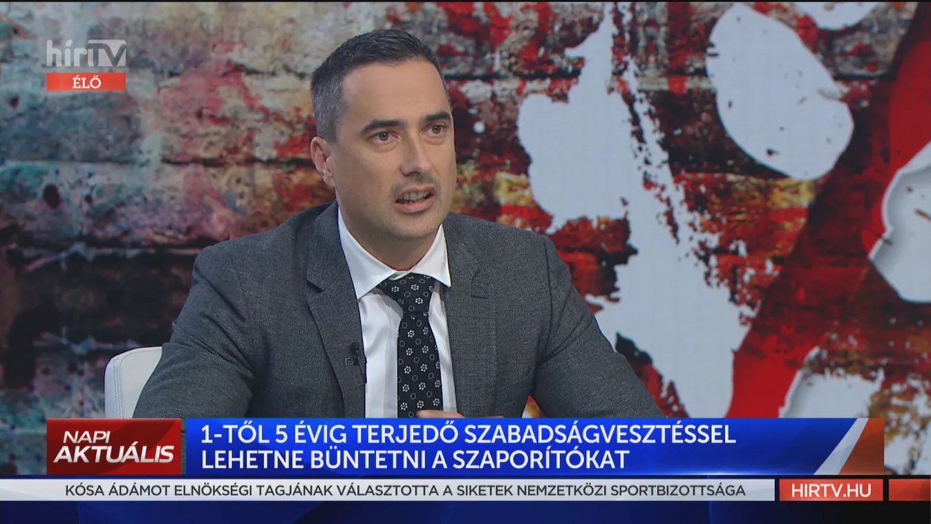 Ovádi Péter: Az illegális állatszaporítók kimerítik az állatkínzás fogalmát