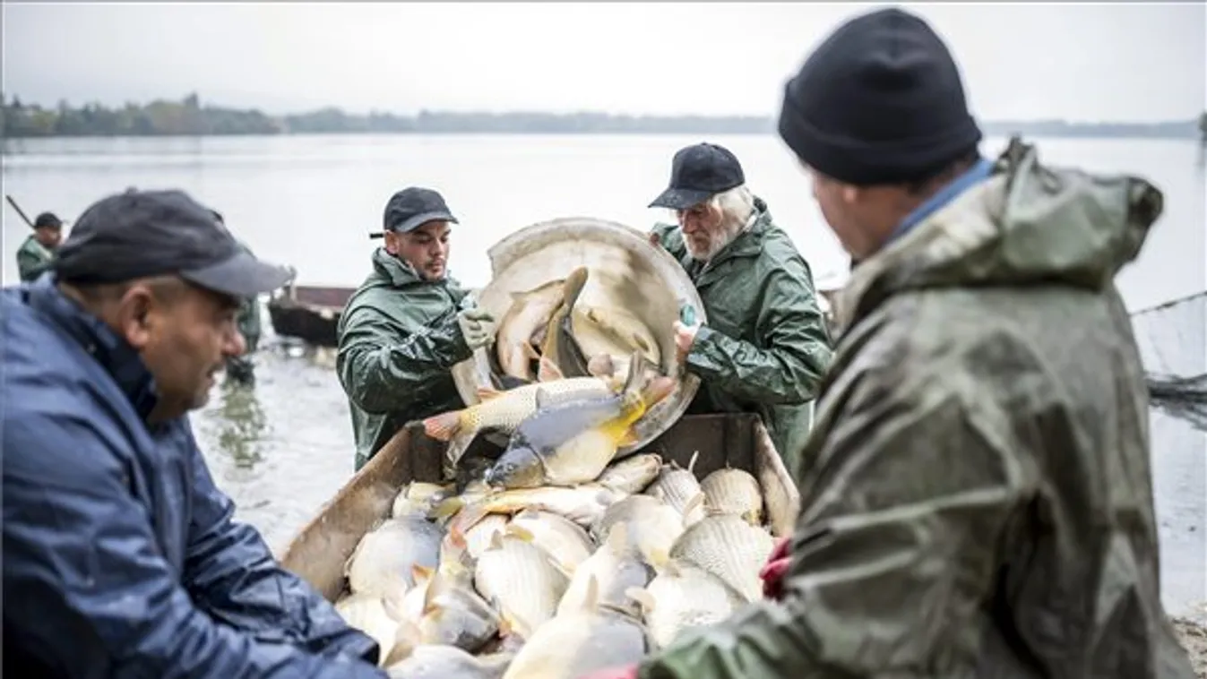 Hálóvetéstől a válogatásig mindent végignézhettek