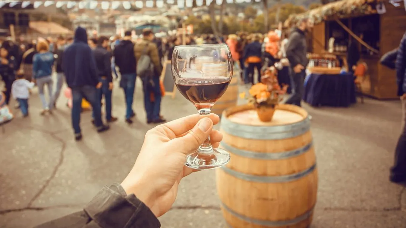 Mosonmagyaróvár egy napra a magyar bor fővárosa lesz
