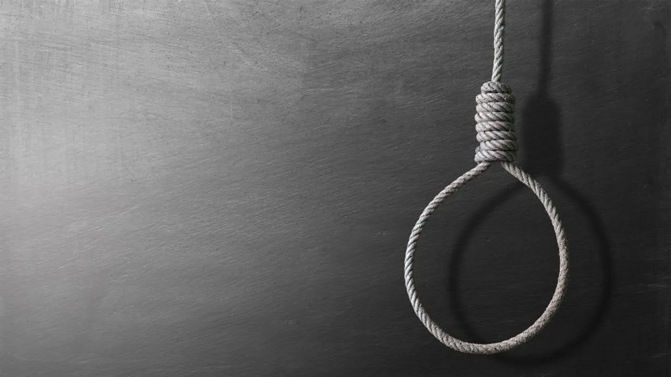 Felakasztotta kutyáját egy baranyai férfi