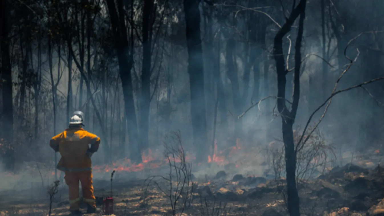 Lezárják a nemzeti parkokat Kalifornia déli részén a tűzvészek miatt