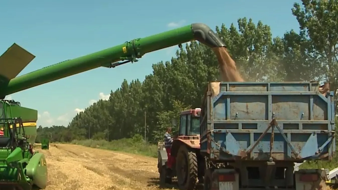 Csaknem 30 milliárd forint keretösszegű forrásokat igényelhetnek majd a pályázó gazdák + videó