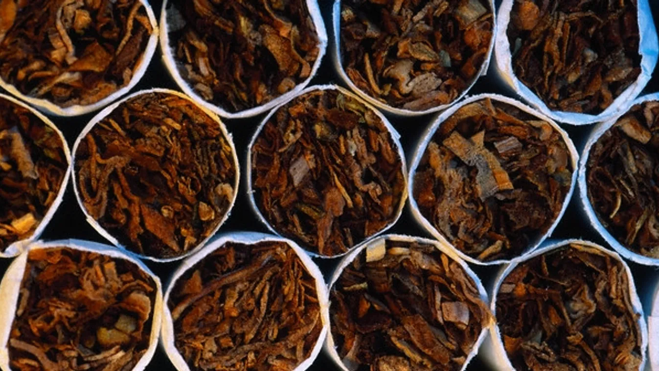 Pizzasütőben bukkantak rá keresőkutyák a hamis ruhákra, cigarettára