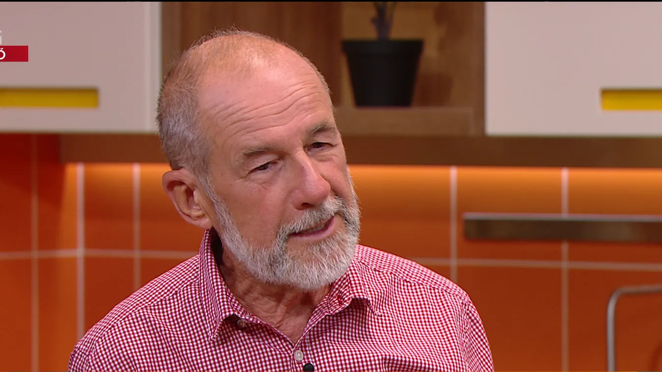 Mozaik: Csillagkaktusz vagy püspöksüvegkaktusz