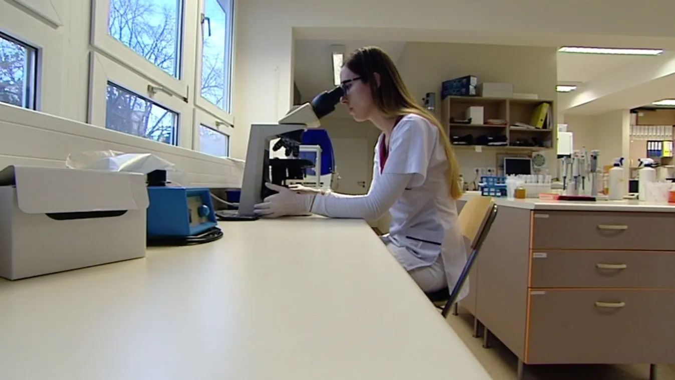 Egy év rendszeres házasélet után már javasolt a kivizsgálás