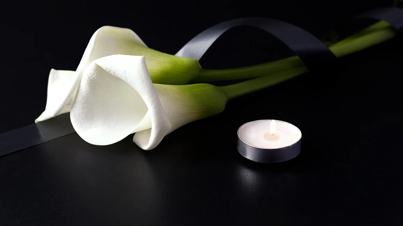 Sokan meghaltak egy esküvői vendégeket szállító busz balesetében Ausztráliában