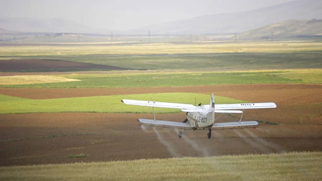 Budapesten és Sopronban gyérítik a szúnyoglárvákat