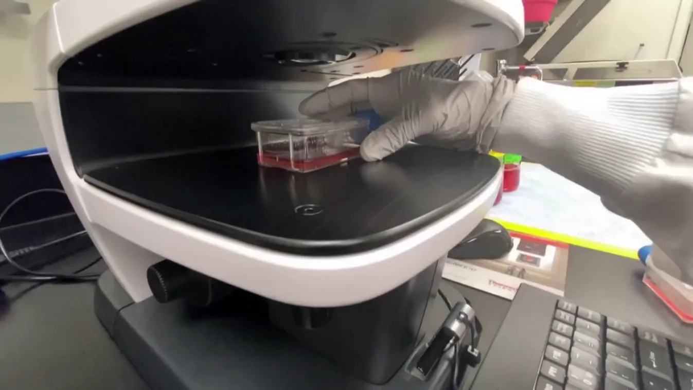 Drágulhatnak az Európába szánt oltóanyagok, érkezik a Novavax