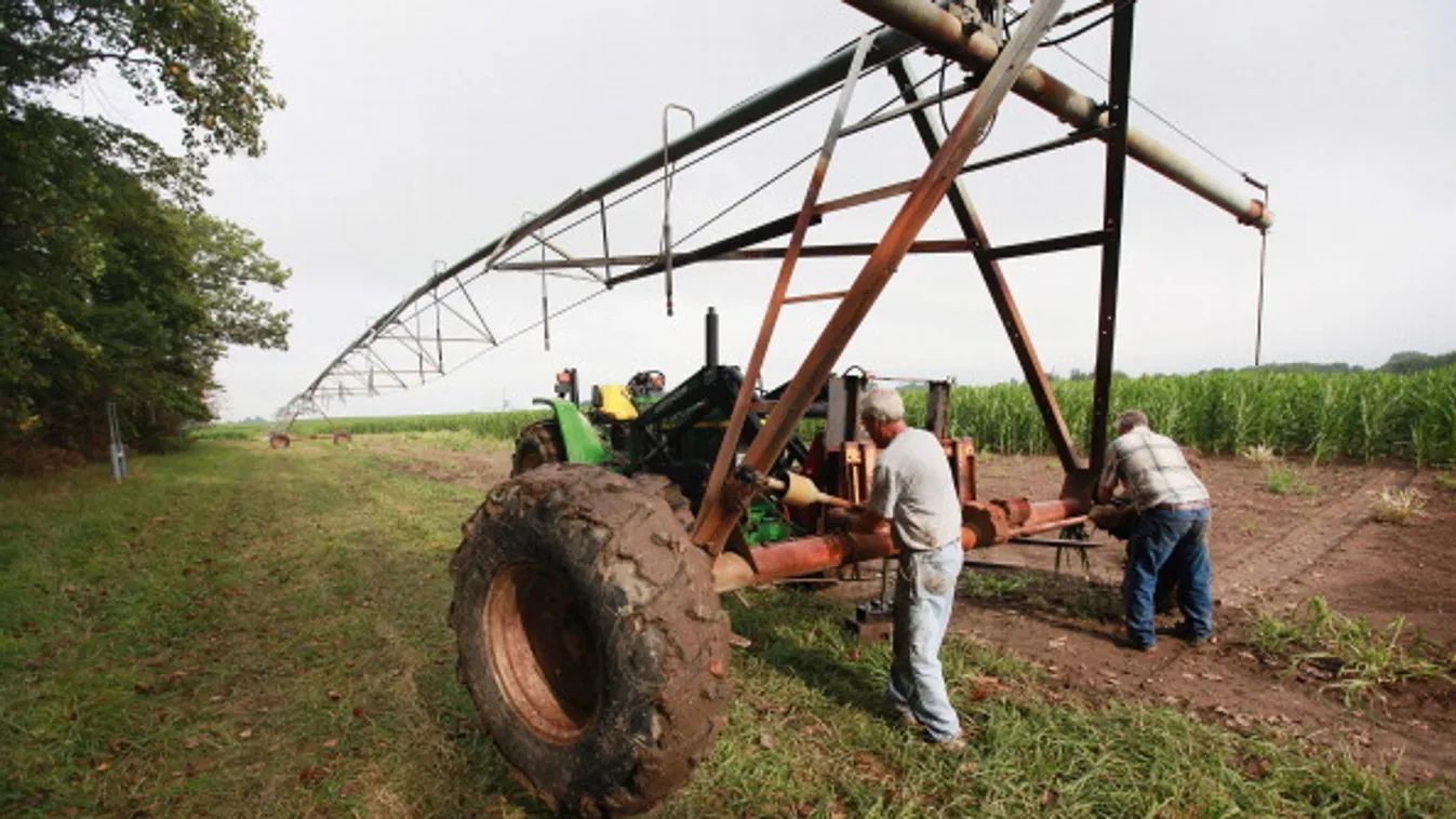 Április 9-től nyújthatók be az egységes támogatási kérelmek