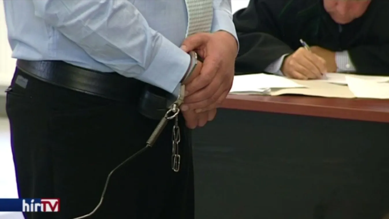 Megkezdődött a gödöllői gyilkos pere