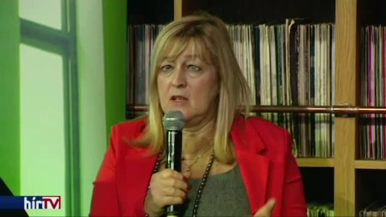 Schmidt: Ideológiai alapon támadják Magyarországot