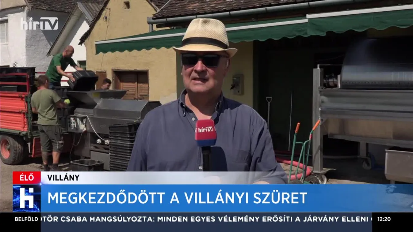 Megkezdődött a villányi szüret