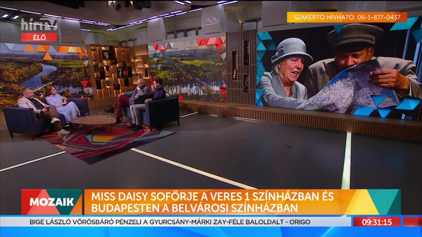 Mozaik: Miss Daisy sofőrje