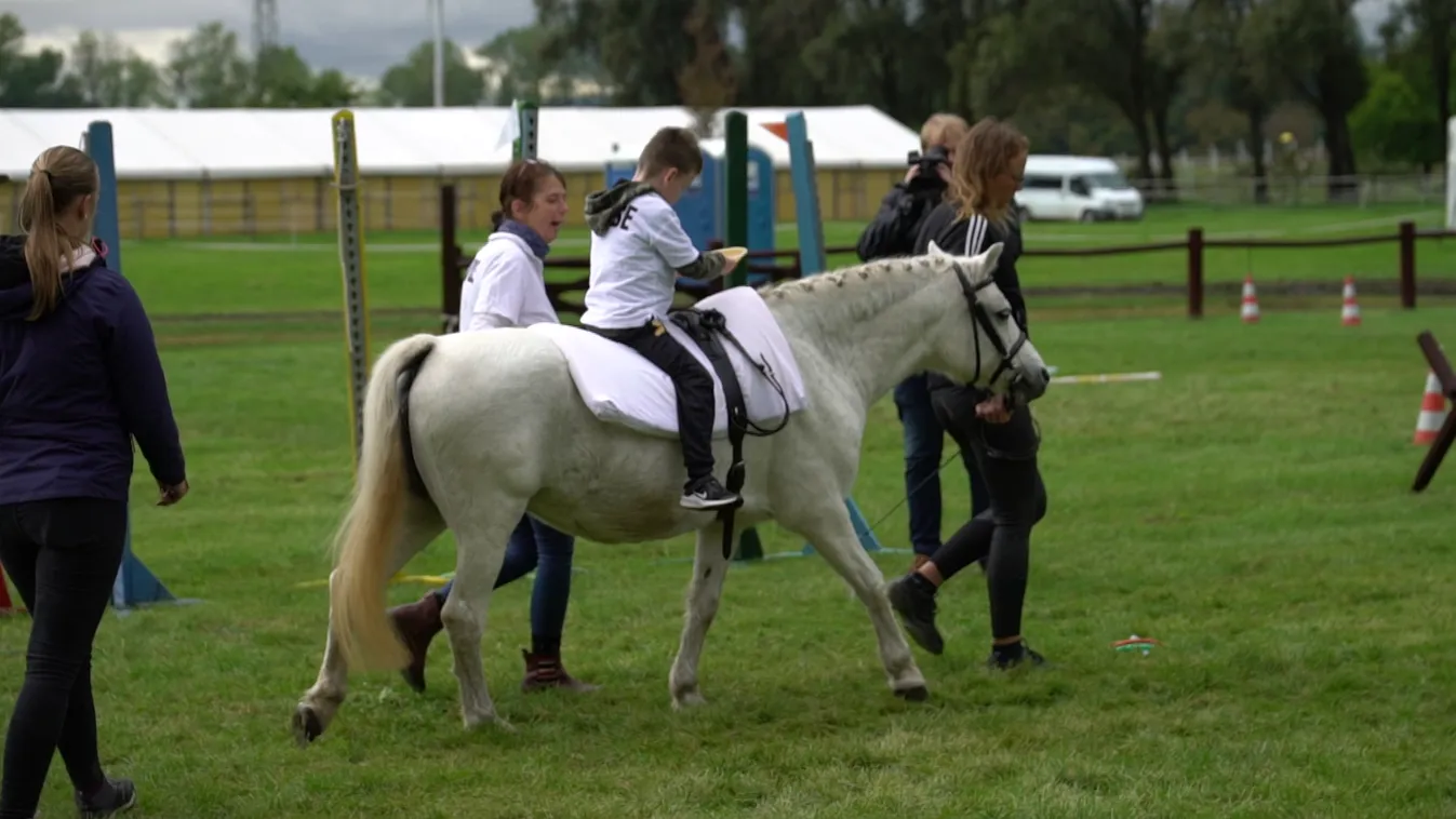 Radar - Lovasterápiás verseny