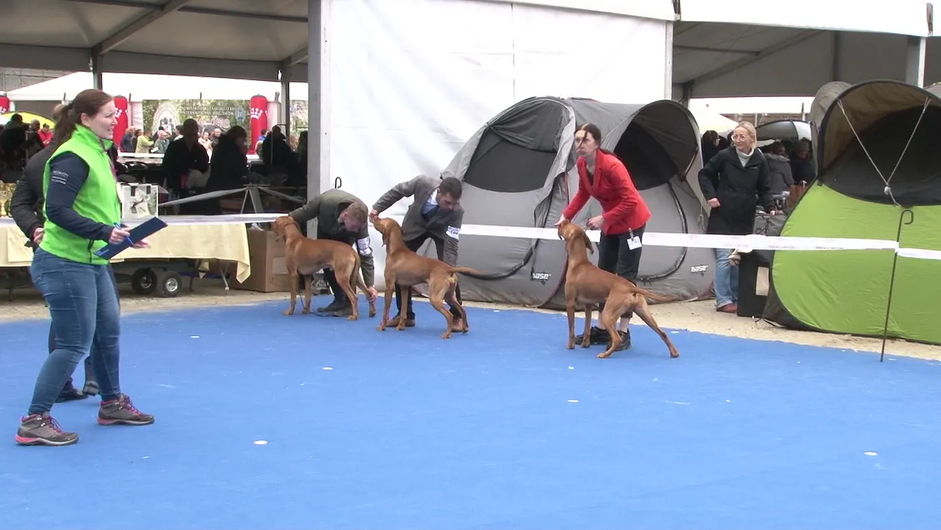 Radar - Kedvencek versenye