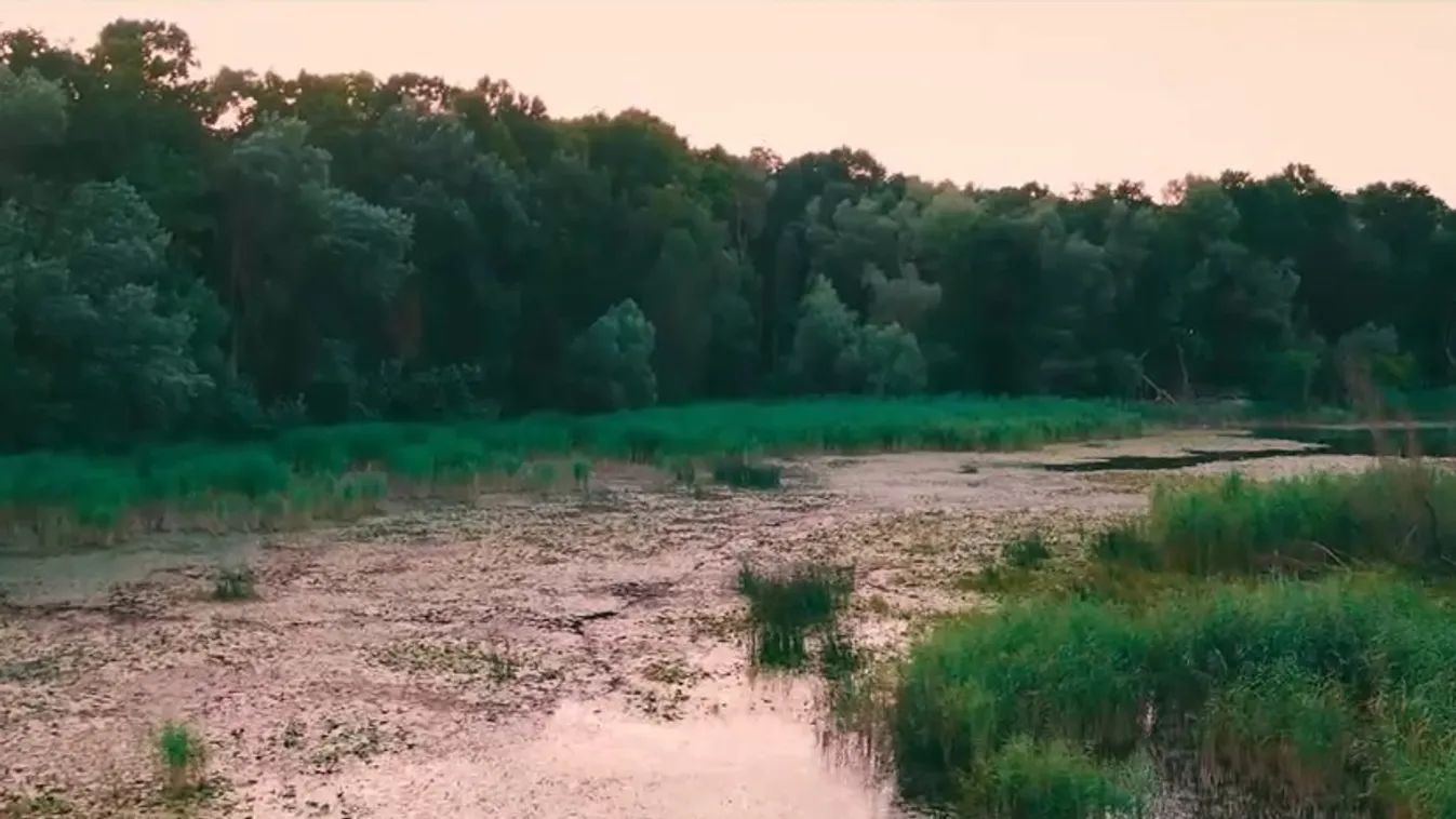 Radar – Vadregényes terep - Gemenci erdő  + videó