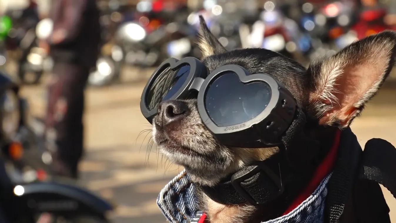 Radar – Szezonzáró gurulás