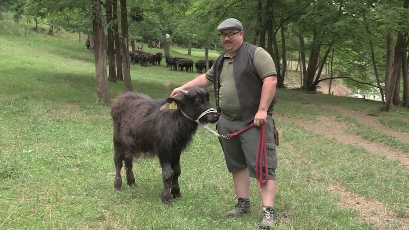 Soroló: Egy megmentett őshonos faj