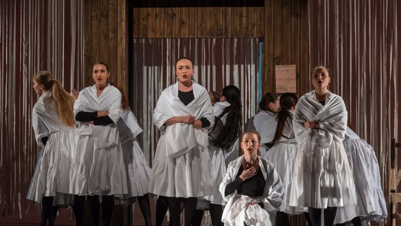 Marosvásárhelyen megnyitották a Tamási Áron-emlékévet