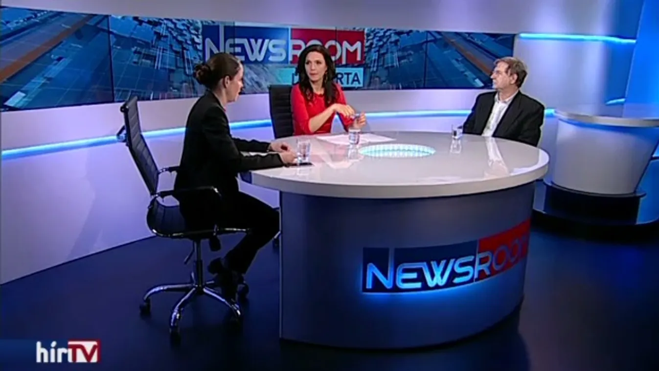 Áder és a kormány ellen tüntettek