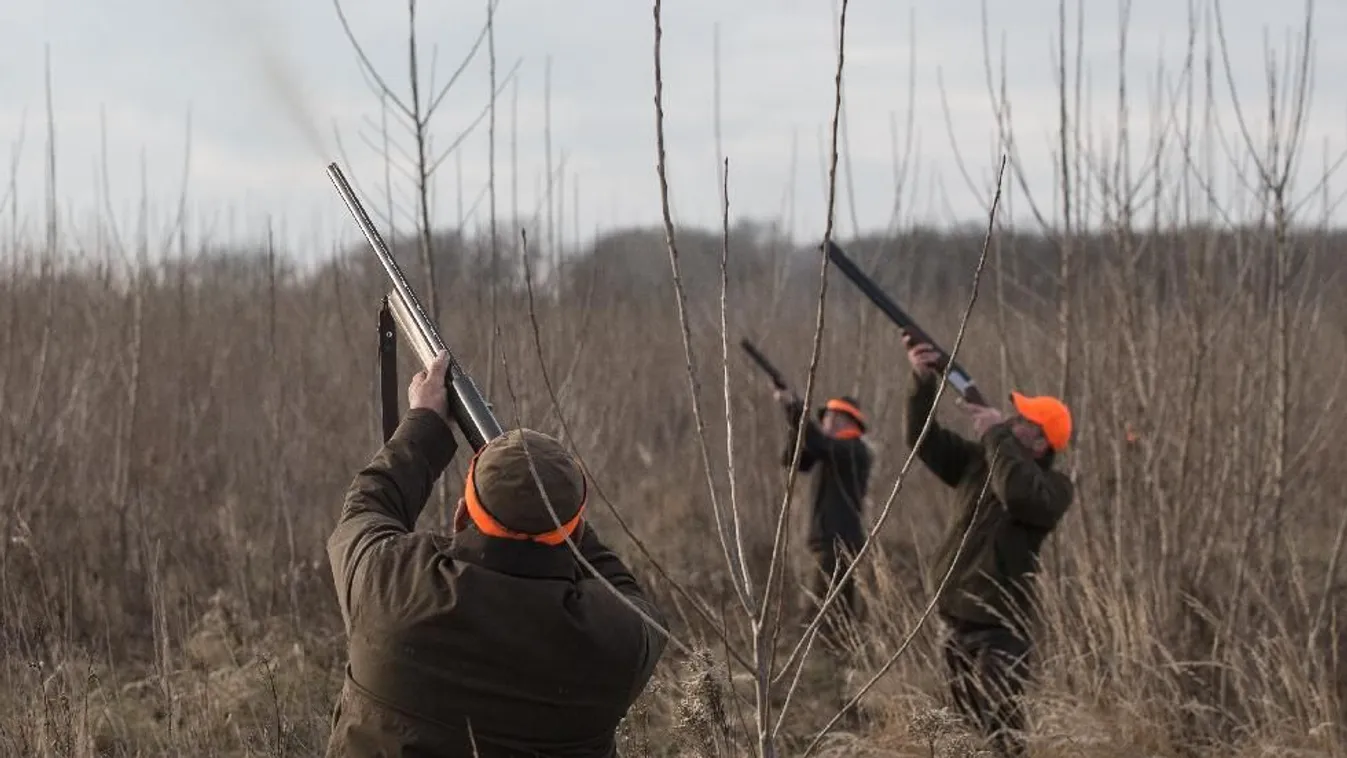 Teríték – Reggeli járat