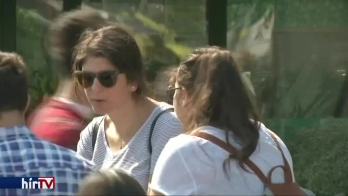 Egy szinten a magyar életszínvonallal a román